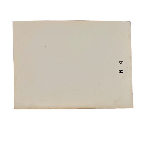 Vtg B&W Photo 1940s Found Seal Island Seals on Rocks Ocean Snapshot Animalcore - Picture 2 of 4